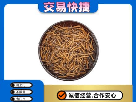 大兴安岭礼品回收虫草.jpg